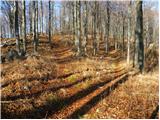 Predmeja (tunnels) - Veliki Modrasovec